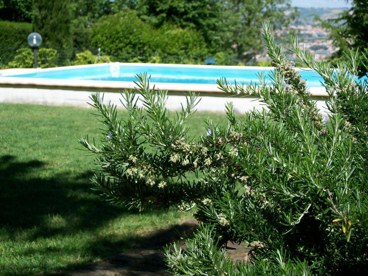 B&B Luna Blu Montesilvano Marina Buitenkant foto