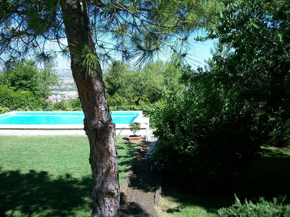B&B Luna Blu Montesilvano Marina Buitenkant foto